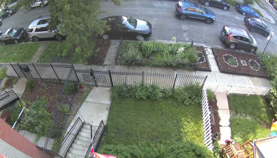 Reolink Camera One_00_Reolink Home Hub One_20260622071520.jpg